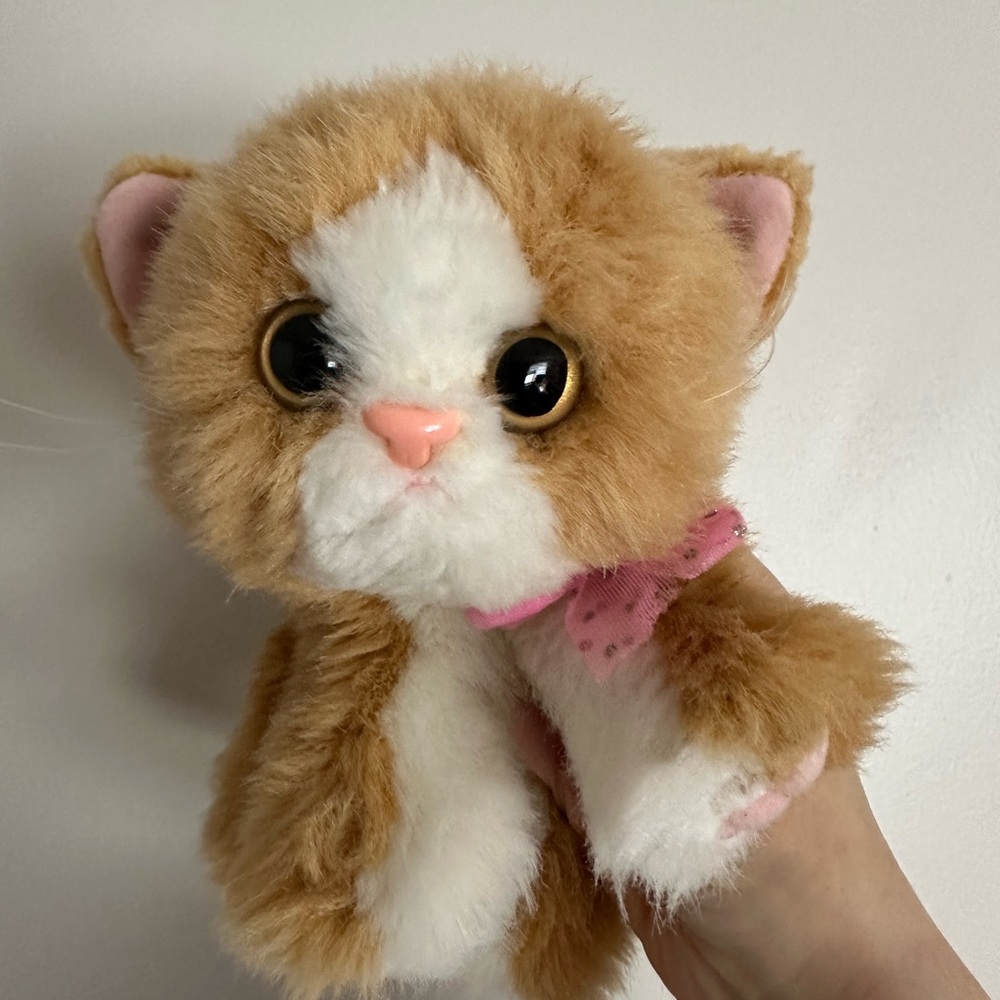DSI kitty kitty kitten “Punkin” plush cat